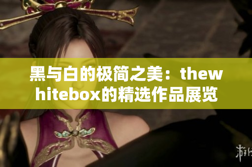 黑与白的极简之美：thewhitebox的精选作品展览