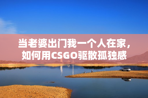 当老婆出门我一个人在家，如何用CSGO驱散孤独感