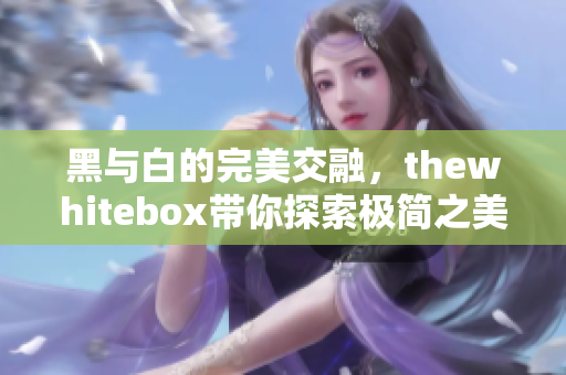 黑与白的完美交融，thewhitebox带你探索极简之美