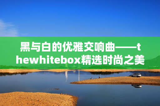 黑与白的优雅交响曲——thewhitebox精选时尚之美