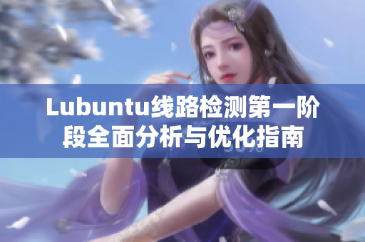 Lubuntu线路检测第一阶段全面分析与优化指南