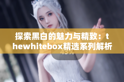 探索黑白的魅力与精致：thewhitebox精选系列解析