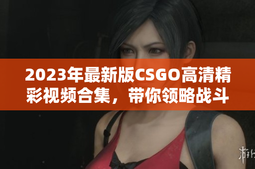 2023年最新版CSGO高清精彩视频合集，带你领略战斗魅力