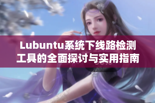 Lubuntu系统下线路检测工具的全面探讨与实用指南