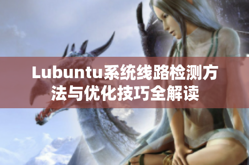 Lubuntu系统线路检测方法与优化技巧全解读