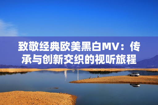 致敬经典欧美黑白MV：传承与创新交织的视听旅程