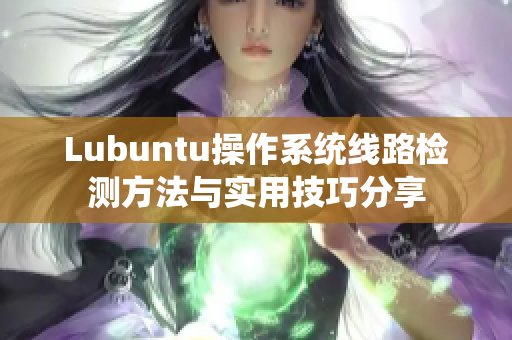 Lubuntu操作系统线路检测方法与实用技巧分享