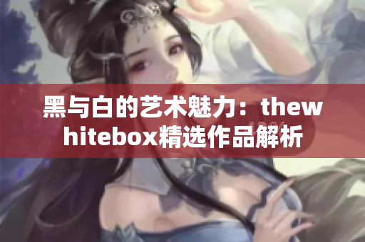 黑与白的艺术魅力：thewhitebox精选作品解析