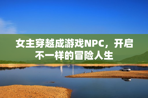 女主穿越成游戏NPC，开启不一样的冒险人生