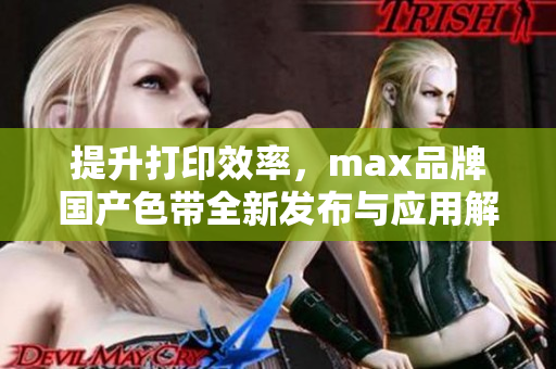 提升打印效率，max品牌国产色带全新发布与应用解析