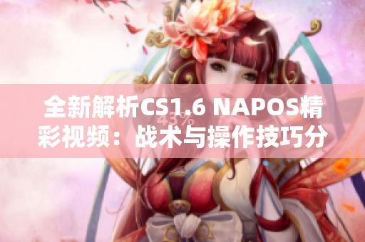 全新解析CS1.6 NAPOS精彩视频：战术与操作技巧分享