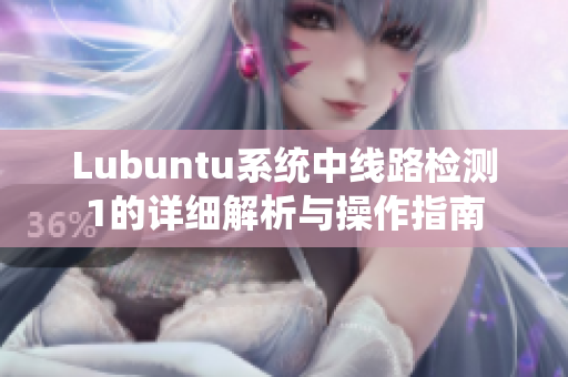 Lubuntu系统中线路检测1的详细解析与操作指南