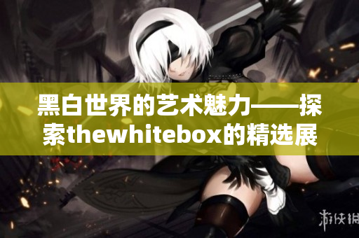 黑白世界的艺术魅力——探索thewhitebox的精选展览