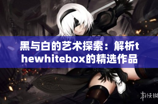 黑与白的艺术探索：解析thewhitebox的精选作品