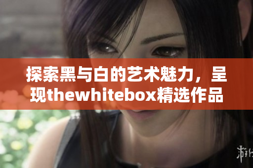 探索黑与白的艺术魅力，呈现thewhitebox精选作品