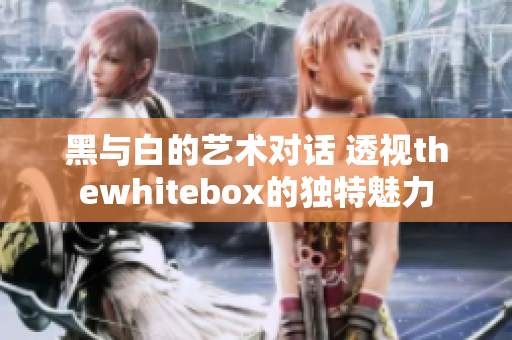 黑与白的艺术对话 透视thewhitebox的独特魅力