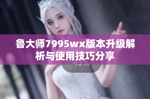 鲁大师7995wx版本升级解析与使用技巧分享