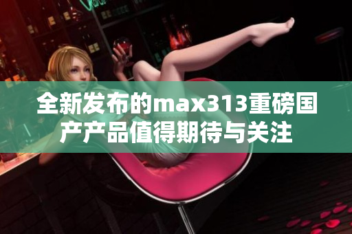 全新发布的max313重磅国产产品值得期待与关注