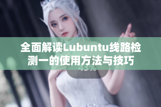 全面解读Lubuntu线路检测一的使用方法与技巧