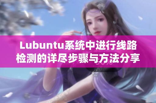 Lubuntu系统中进行线路检测的详尽步骤与方法分享