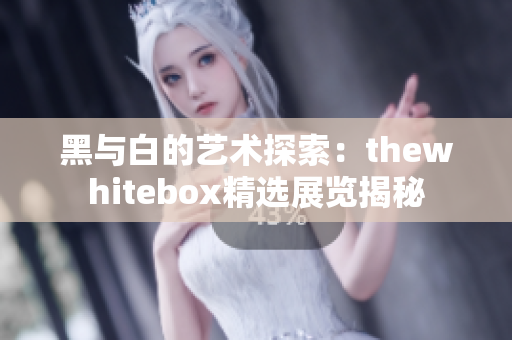 黑与白的艺术探索：thewhitebox精选展览揭秘