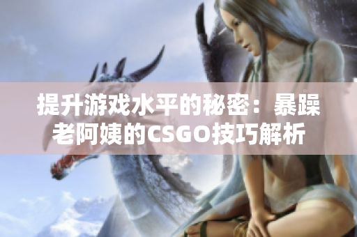 提升游戏水平的秘密：暴躁老阿姨的CSGO技巧解析