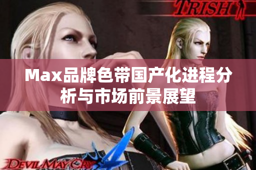 Max品牌色带国产化进程分析与市场前景展望