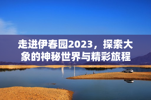 走进伊春园2023，探索大象的神秘世界与精彩旅程