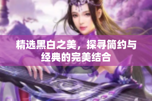 精选黑白之美，探寻简约与经典的完美结合