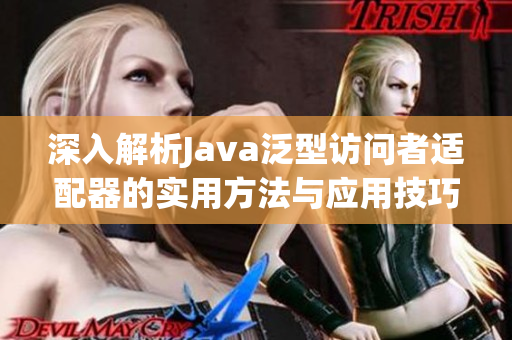 深入解析Java泛型访问者适配器的实用方法与应用技巧