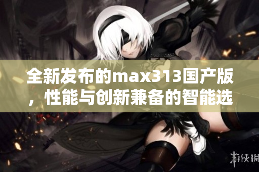 全新发布的max313国产版，性能与创新兼备的智能选择