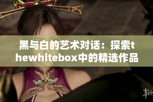 黑与白的艺术对话：探索thewhitebox中的精选作品