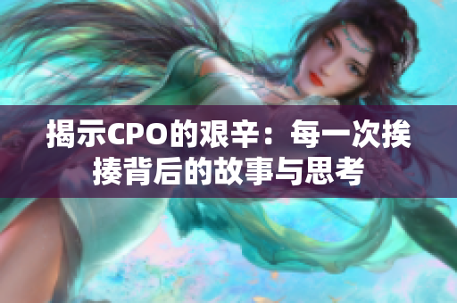 揭示CPO的艰辛：每一次挨揍背后的故事与思考