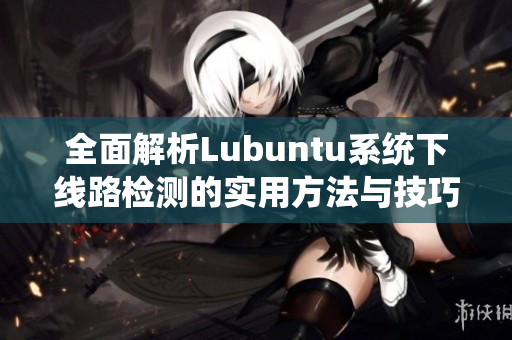 全面解析Lubuntu系统下线路检测的实用方法与技巧