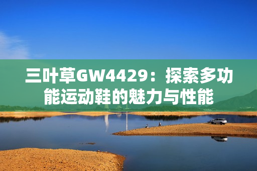 三叶草GW4429：探索多功能运动鞋的魅力与性能