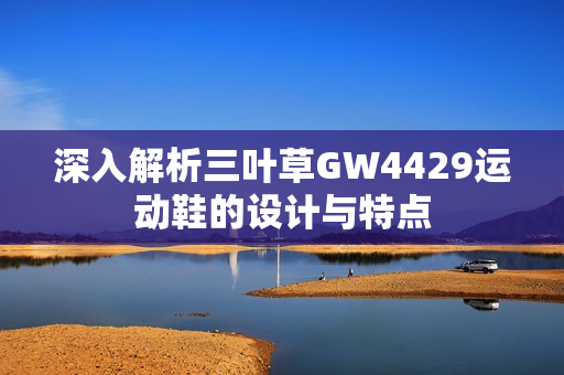 深入解析三叶草GW4429运动鞋的设计与特点