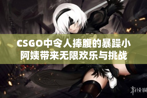 CSGO中令人捧腹的暴躁小阿姨带来无限欢乐与挑战